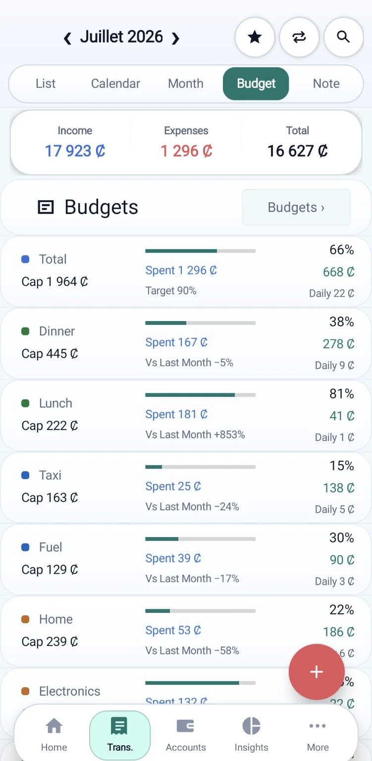Safe-to-Spend screenshot 5